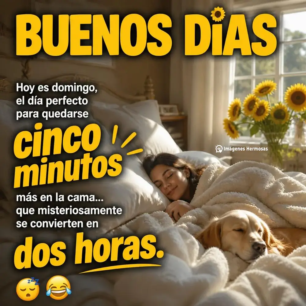 Feliz Domingo Frases Bonitas