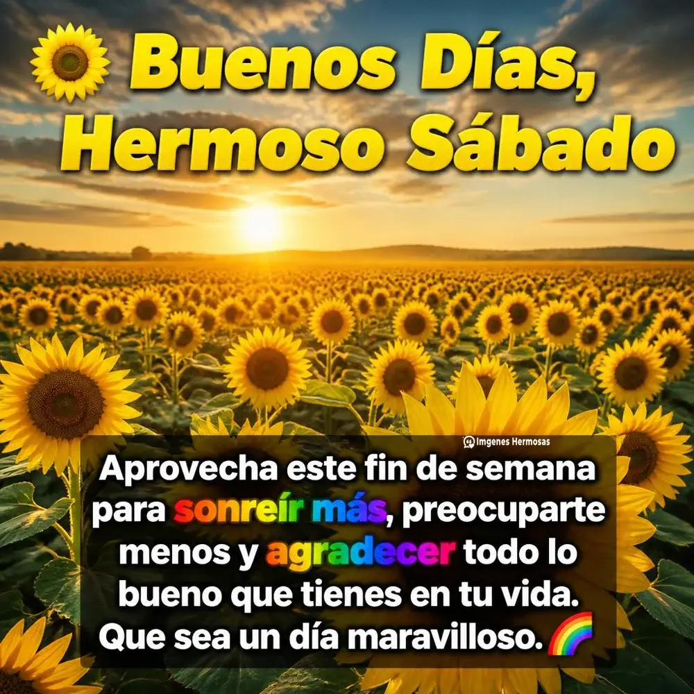 Bonitas Frases Feliz Sábado