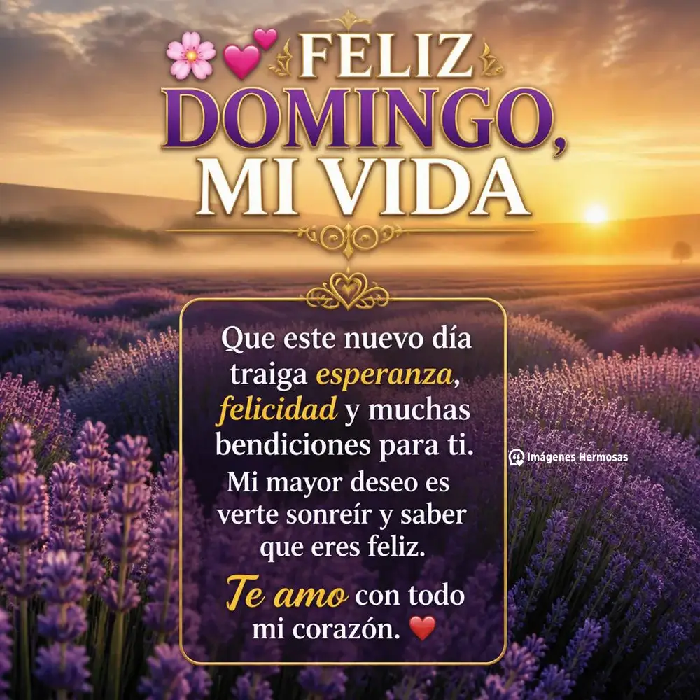 Feliz Domingo Mi Amor Frases