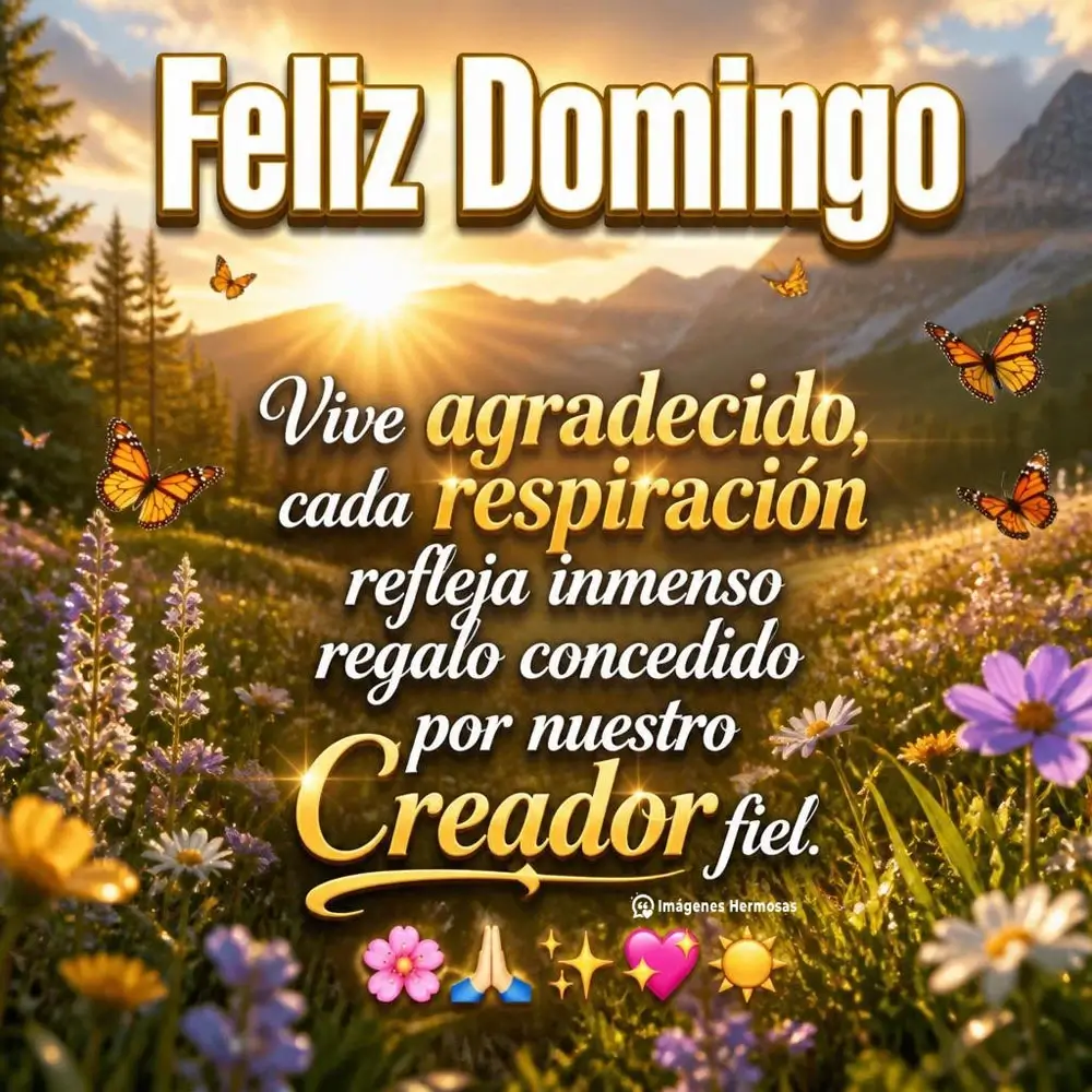 Bendecido Feliz Domingo