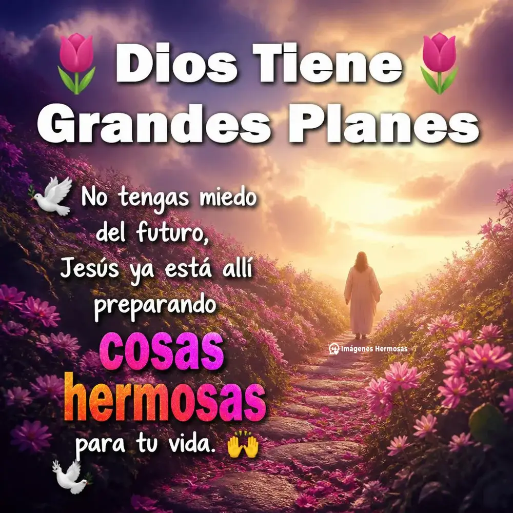 Hermoso Bendecido Viernes