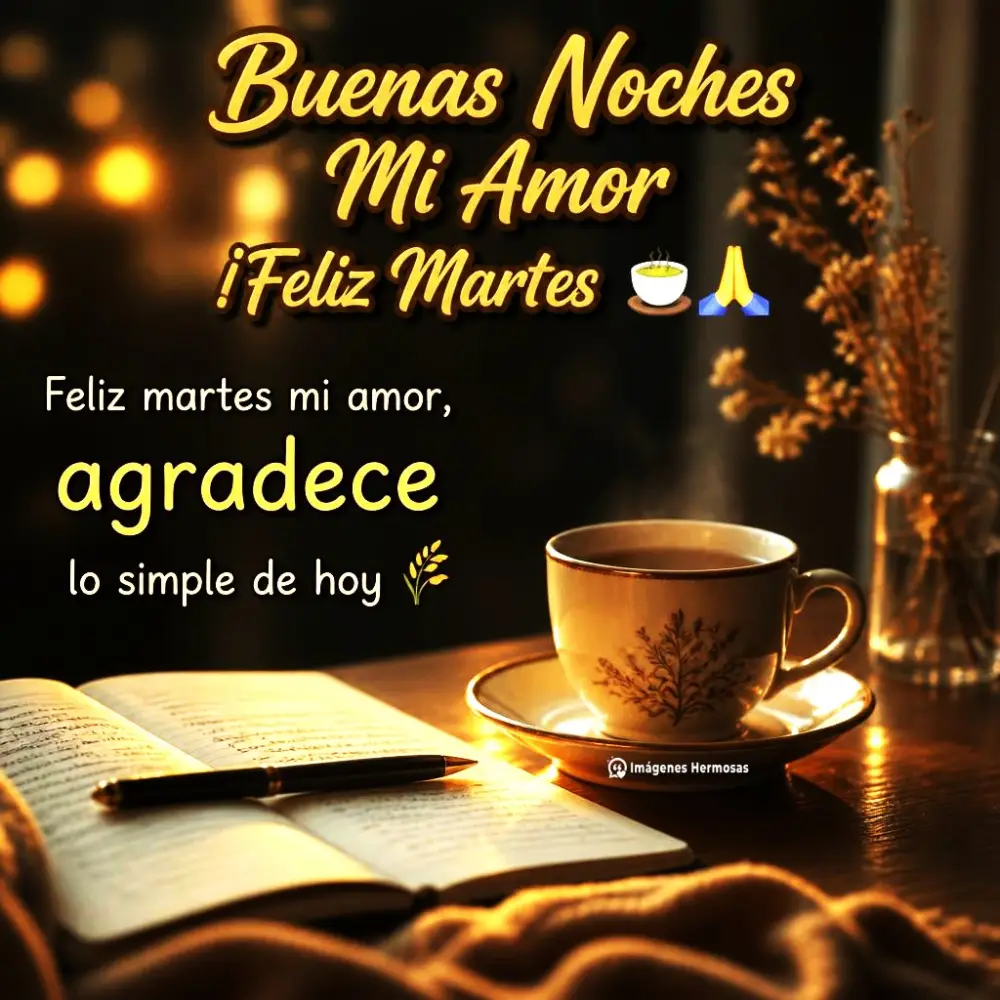 Buenas Noches Esposa Mia Te Amo