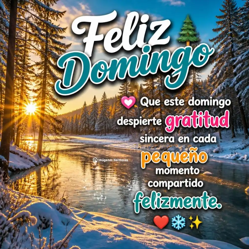 Feliz Domingo De Diciembre