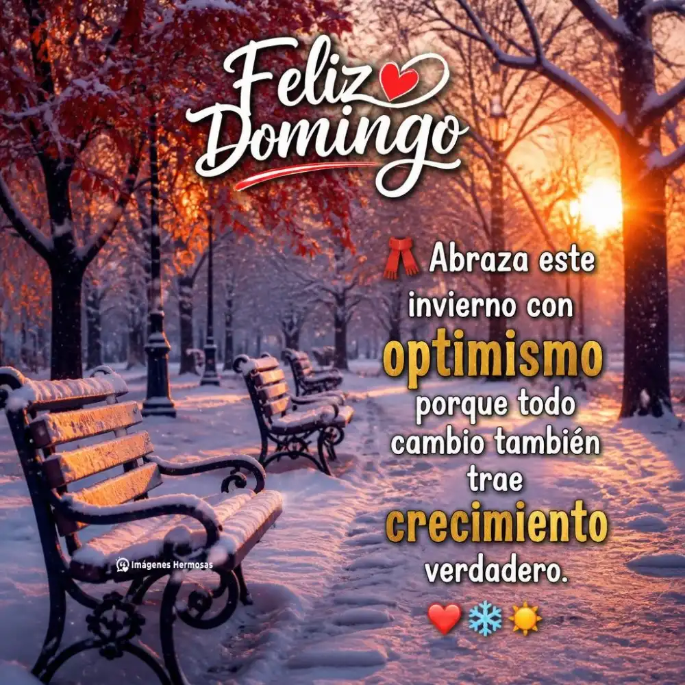 Feliz Domingo Invernal Con Mensajes De Buenos Días Y Frases Bonitas