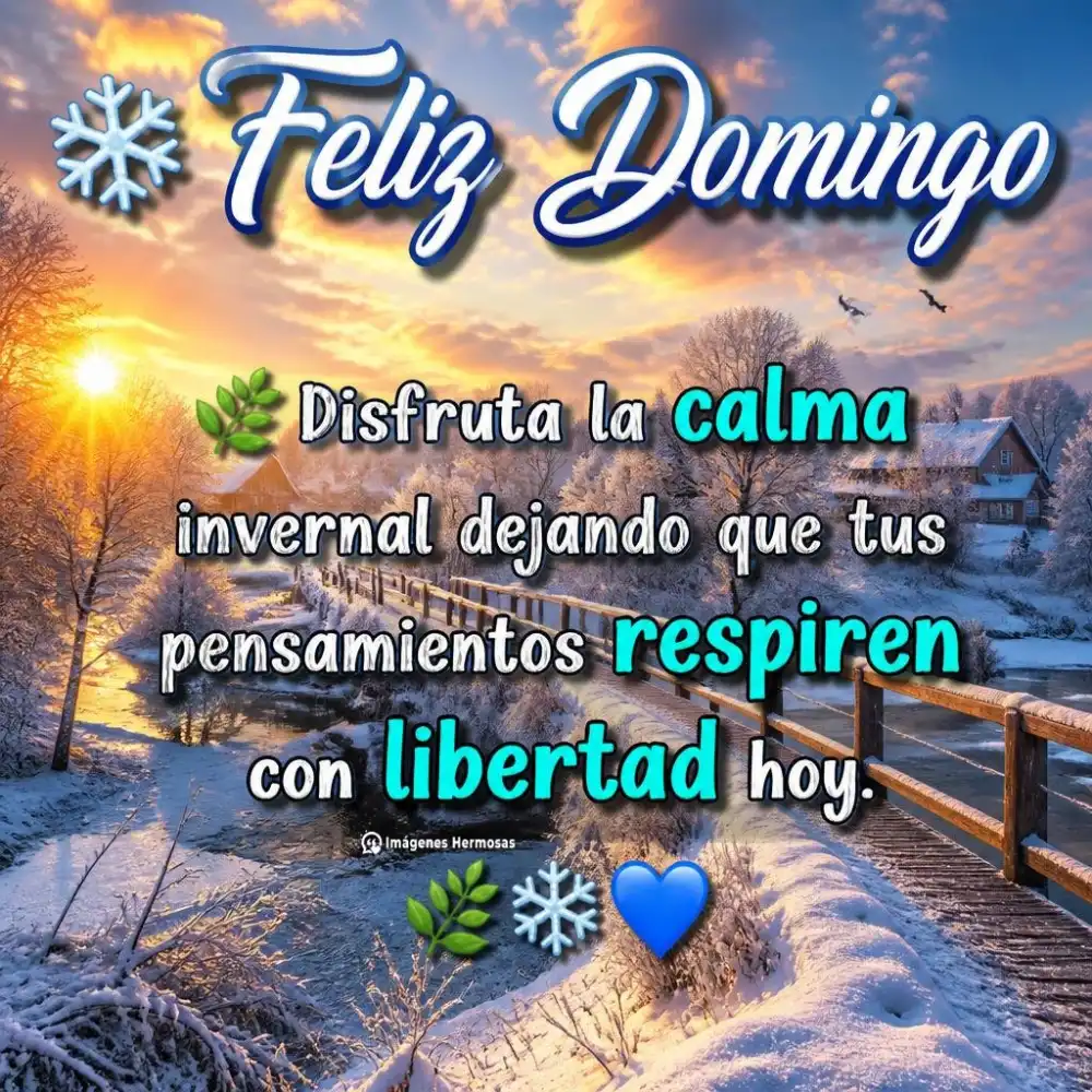 Feliz Domingo De Invierno Con Paisajes Nevados