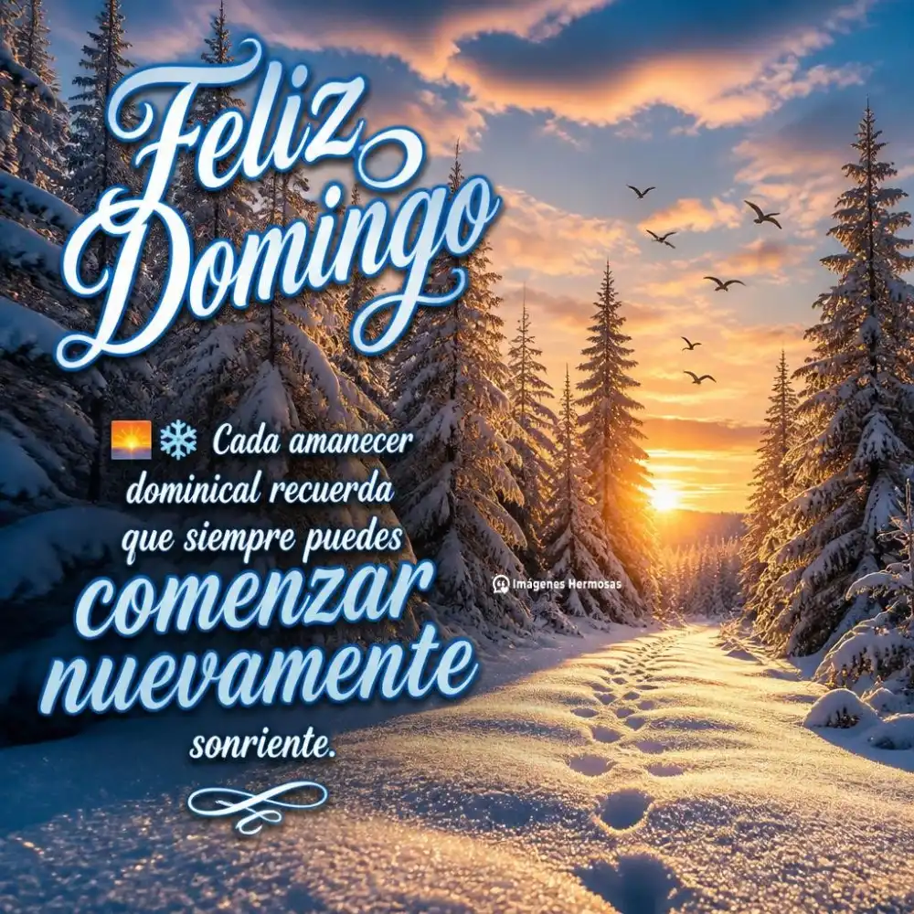 Invierno Buenos Dias Con Frio Y Cafe