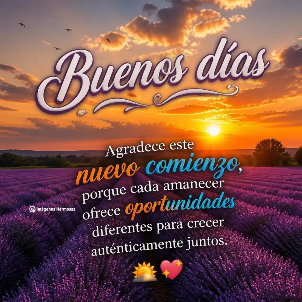 Positivo Frases De Buenos Dias