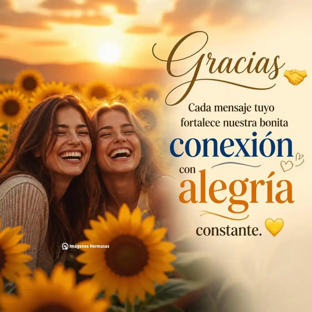 Bonitas Frases De Agradecimiento A Una Persona