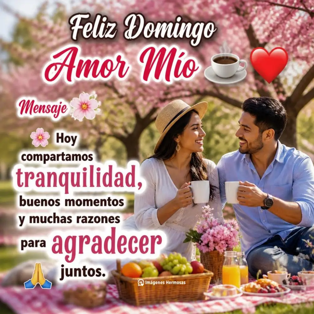 Bonito Domingo Amor