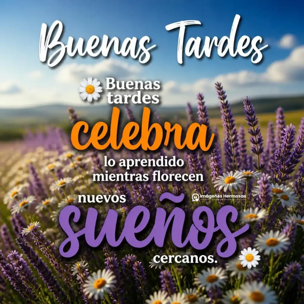 Frases De Buenas Tardes Originales